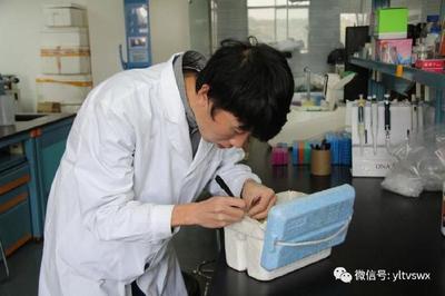 楊凌與河南大學共建“現代農業與生物技術研究院”，加速生物技術推廣